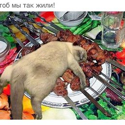���� ���������, ��������, 64 ���� - ��������� 22 �������� 2014