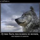  ,  -  15  2014    