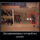 ���� ���������, ������-��-����, 52 ���� - ��������� 4 ������ 2014 � ������ ������ ��������