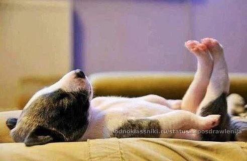 � ����� ������=)))