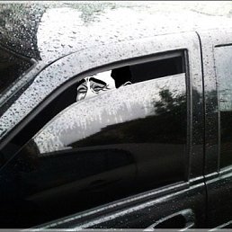 ���� ����, ���������, 34 ���� - ��������� 13 ������� 2014