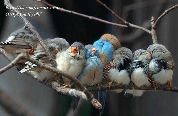 ..     ,        . ...