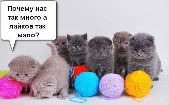    :D - 24  2014  04:38