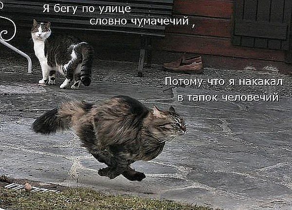       - 21  2014  18:03