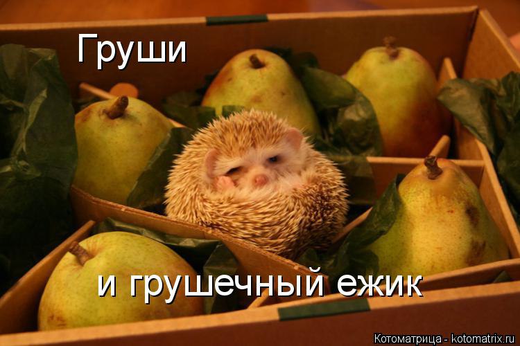 Marina - 2  2014  07:28