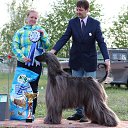 ���� �������, �������������, 58 ��� - ��������� 28 �������� 2014 � ������ ���� ����������