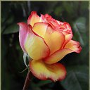 ���� Serg, ������, 66 ��� - ��������� 29 ������ 2014 � ������ ���� ����!!!�