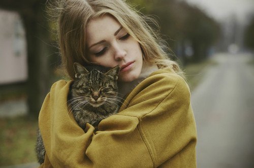 И нет никакой разницы лето сейчас или осень. Важно, что есть котики, которые всегда согреют и тело, ...