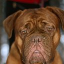 ���� Leonid, ������������, 55 ��� - ��������� 2 ������� 2014 � ������ ������� �� ������ � ����� ������ ����� ������,�