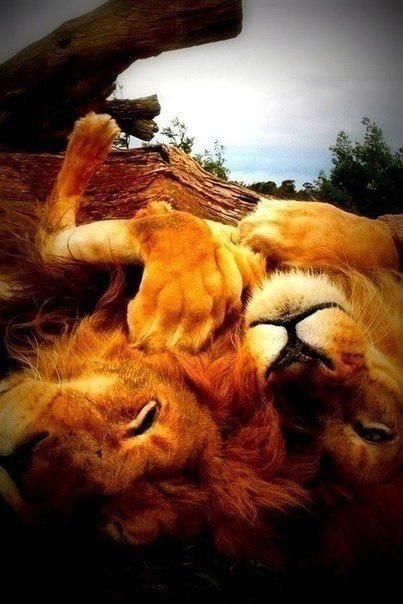 Подписывайтесь на нас: <a href=