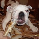 ���� �����, ������������, 48 ��� - ��������� 7 ������� 2014 � ������ ����������