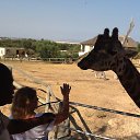 ������� � ������. �� ������� ���� ����������