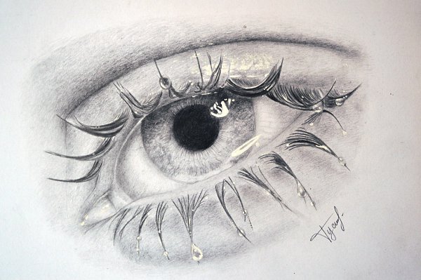 Art & Fun - 31  2014  12:14
