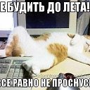  N..., , 47  -  11  2014       )))