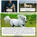 ���� Darya, �����, 23 ���� - ��������� 7 ������� 2014 � ������ ������ ��������
