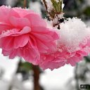 ���� &hearts; ������� &hearts;, ������ - ��������� 3 ������ 2014 � ������ ������ ��������