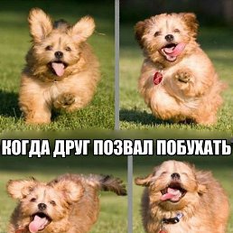 ���������, ����