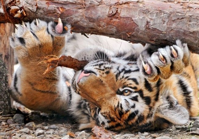 ����� ������� - 1 ������� 2014 � 17:32