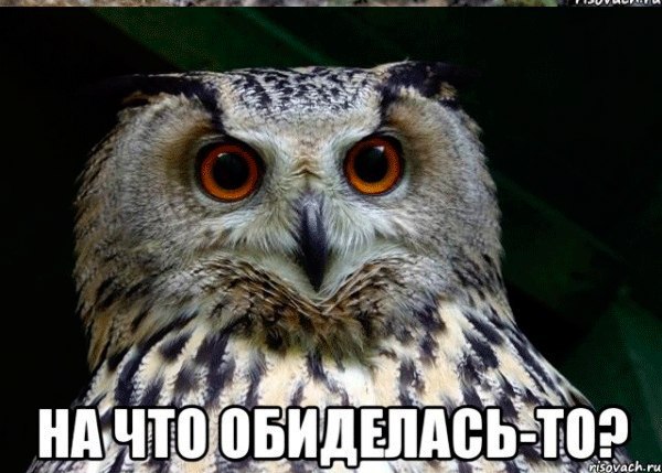 Art & Fun - 16  2014  22:54 - 5