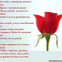 ���� ������, ������������, 64 ���� - ��������� 23 ������ 2014 � ������ ������ ��������