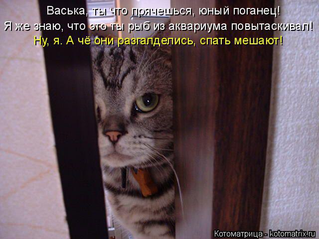 /zev/null - 29  2014  14:43