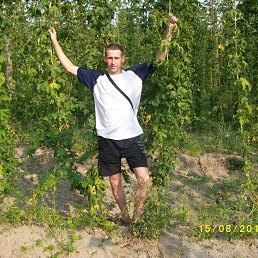 �������, �����, 44 ����