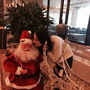���� ����, ���, 65 ��� - ��������� 3 ������� 2014 � ������ ���������� ������� ����� � �����
