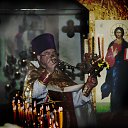  Ovod, , 50  -  31  2014   