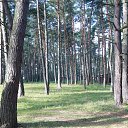  Skoj,  -  28  2014      !