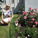 ���� ����������, �����������, 64 ���� - ��������� 12 �������� 2014 � ������ ���� ����������