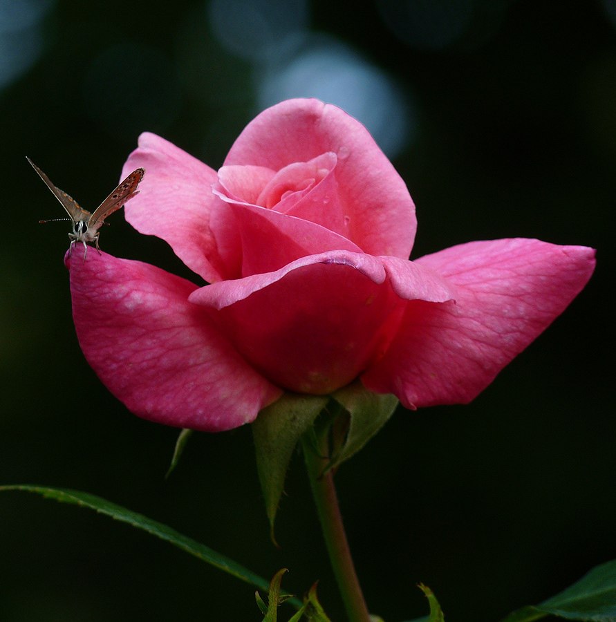 ★ ������������� ��� ������� ★ - 6 ������� 2014 � 20:33