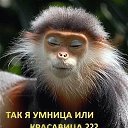  ,  -  25  2014   