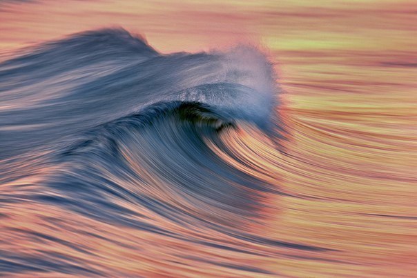   : <a href=