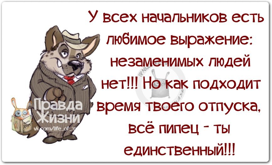 Работает это когда вы. Афоризмы про начальника. Прикольные фразы про работу. Прикольные цитаты про начальника. Высказывания про работу.