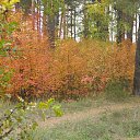 ���� �����, �����, 70 ��� - ��������� 29 �������� 2014 � ������ ������ ��������