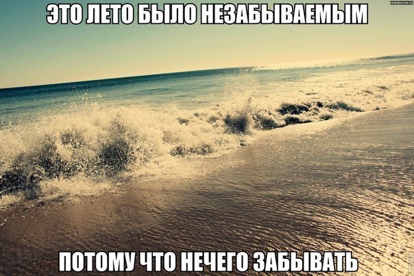   - 31  2014  11:31