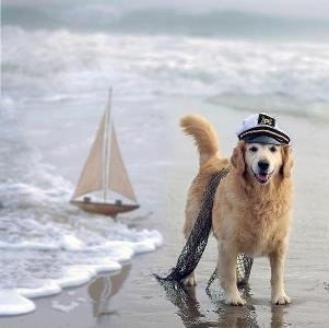 Не жди подходящего момента. Бери момент и делай его подходящим. - 2