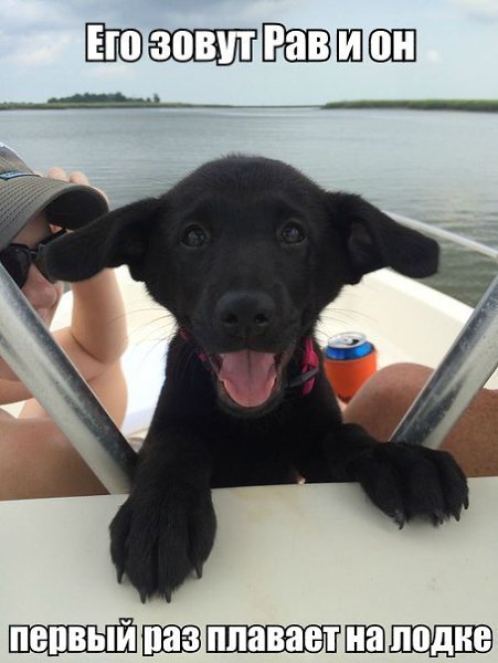    :D - 13  2014  10:13