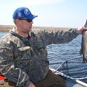 ���� ������, �����-���������, 49 ��� - ��������� 11 ������ 2014