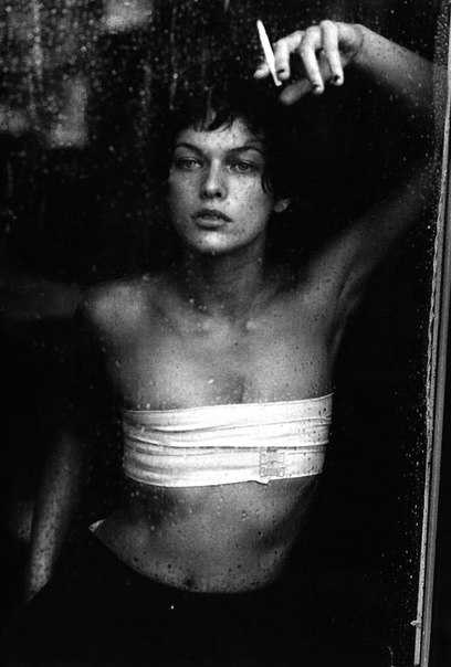   ,   . ,    ,     ,  ...