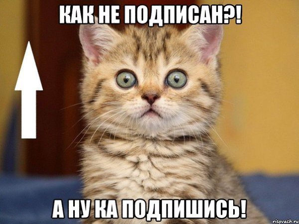 Подпишитесь, если понравилось!!! fotostrana.ru/public/237440/?