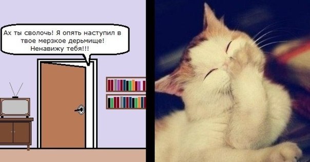       - 5  2014  17:15
