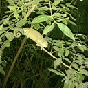 ���� ������, ������, 42 ���� - ��������� 8 �������� 2014 � ������ ���� ����������