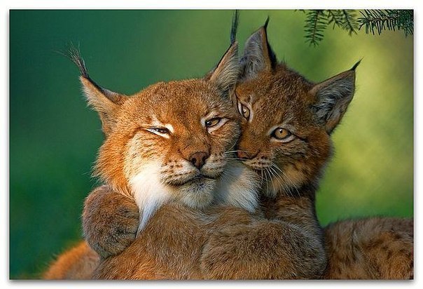 ����� ������, �� ����� ��������� ���������� � ����, ������� ��������, ����������, ���� �� �������, ...