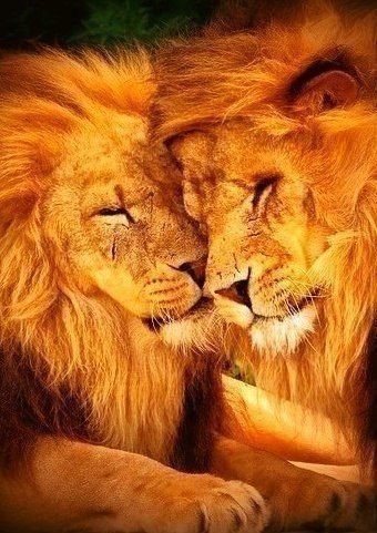 Подписывайтесь на нас: <a href=