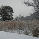  , -, 62  -  2  2014   