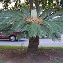 ���� ���������, ������������, 62 ���� - ��������� 26 ������� 2014 � ������ ���� ����������