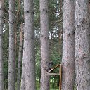  Sergey, , 61  -  8  2014    