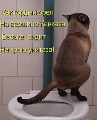   https://fotostrana.ru/away?to=/sl/KE2