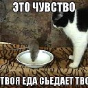 ���� ����, ��������, 59 ��� - ��������� 3 ����� 2015 � ������ ������ ��������